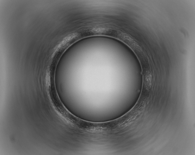 X0000113320734200909141355