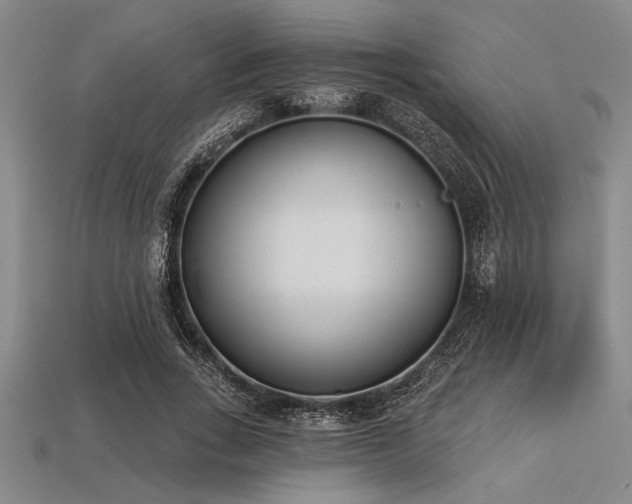 X0000113320735200909141355