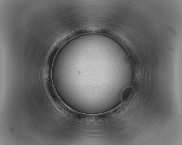 X0000113320736200909141355