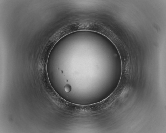 X0000113320737200909141355