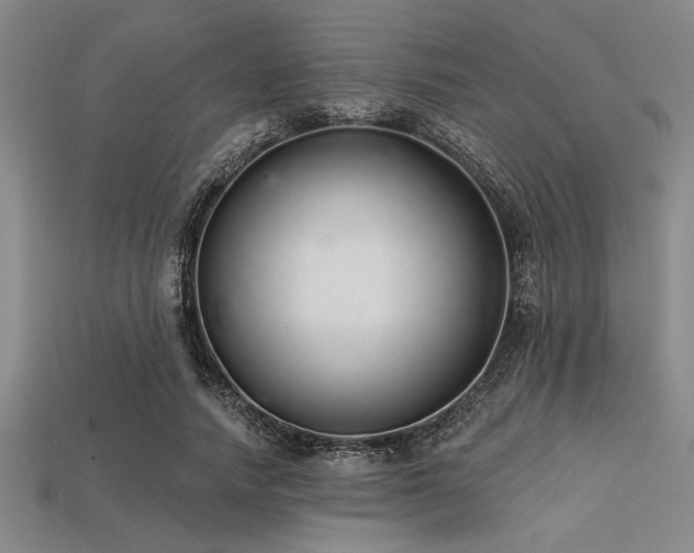 X0000113320738200909141355