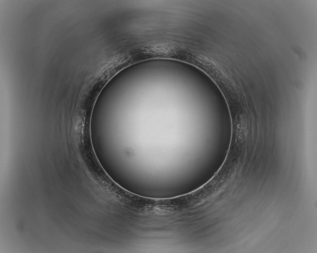 X0000113320739200909141355