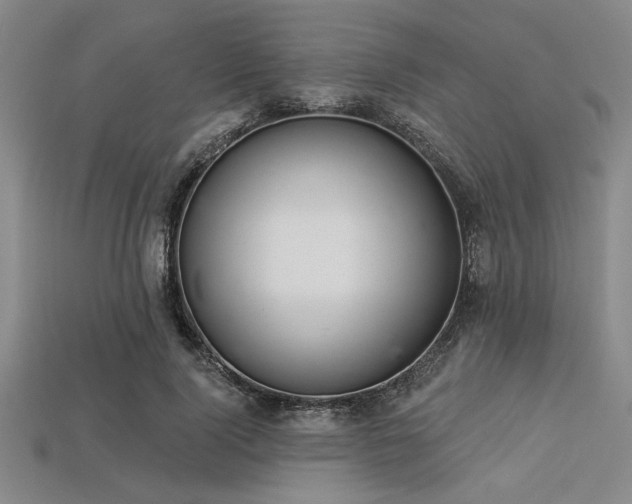 X0000113320740200909141355