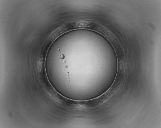 X0000113320741200909141355