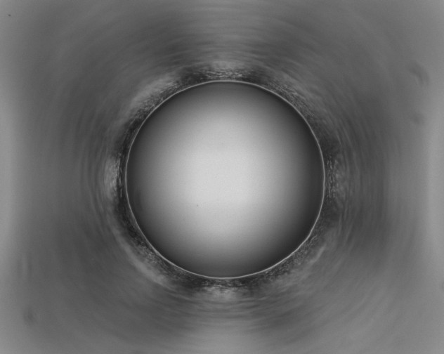 X0000113320742200909141355