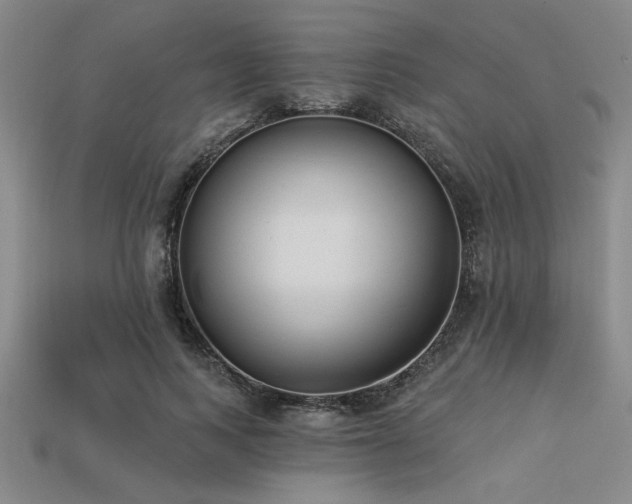 X0000113320743200909141355