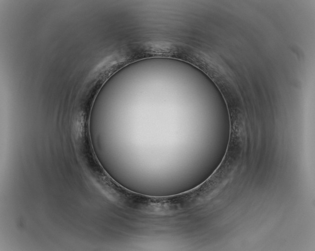 X0000113320744200909141355