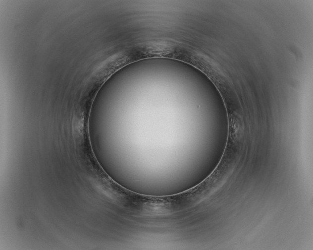 X0000113320745200909141355