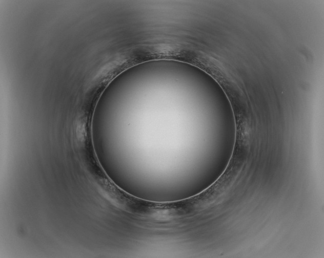 X0000113320746200909141355