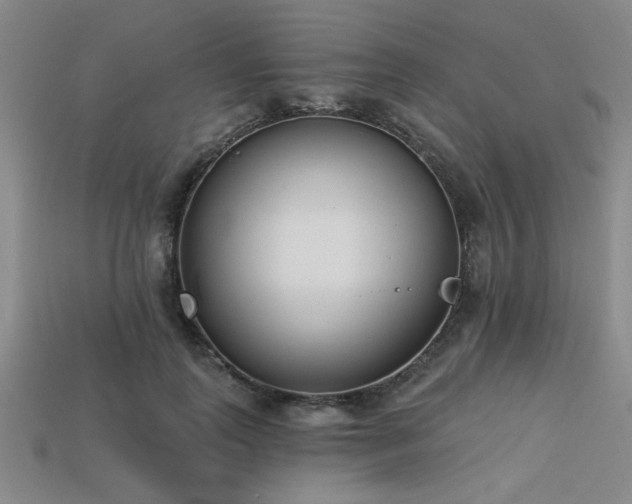 X0000113320747200909141355