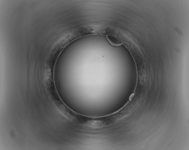 X0000113320748200909141355