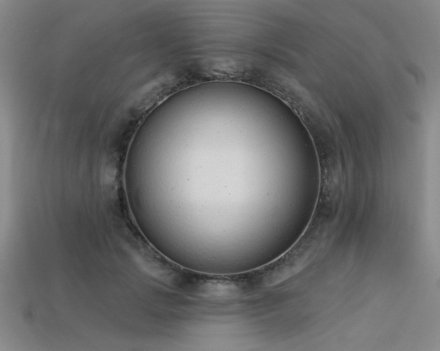 X0000113320749200909141355