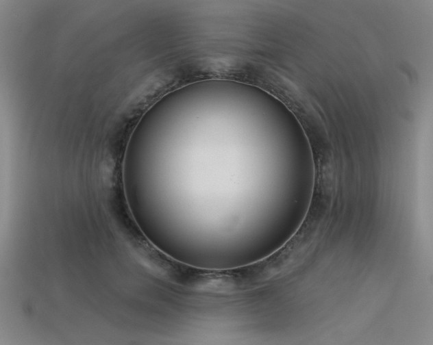 X0000113320750200909141355