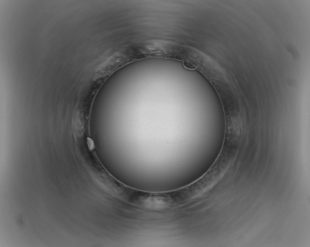 X0000113320751200909141355