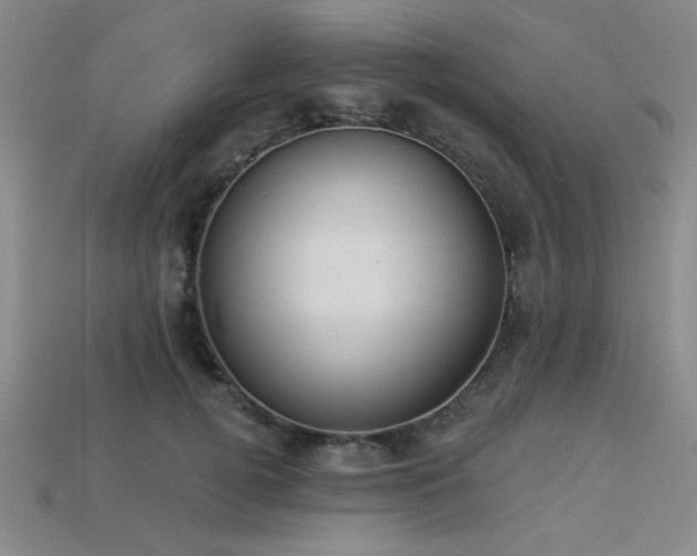 X0000113320752200909141355