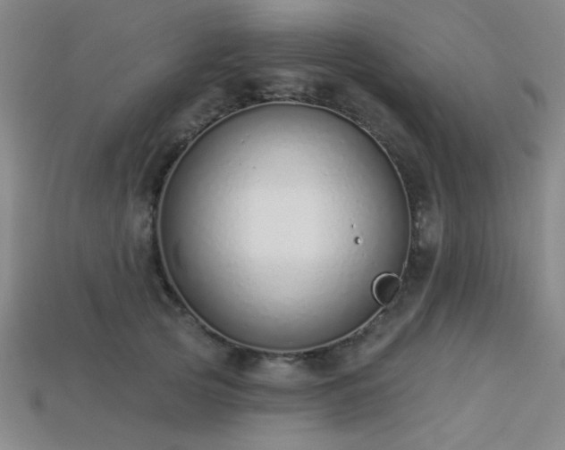 X0000113320753200909141355