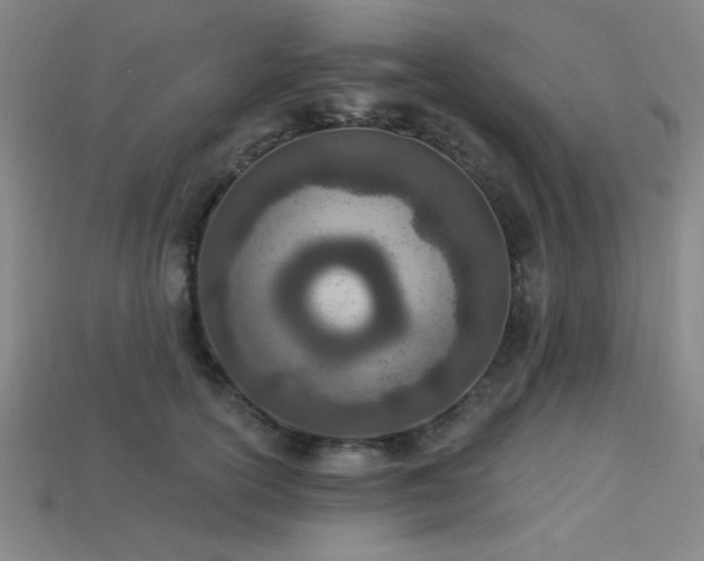 X0000113320754200909141355