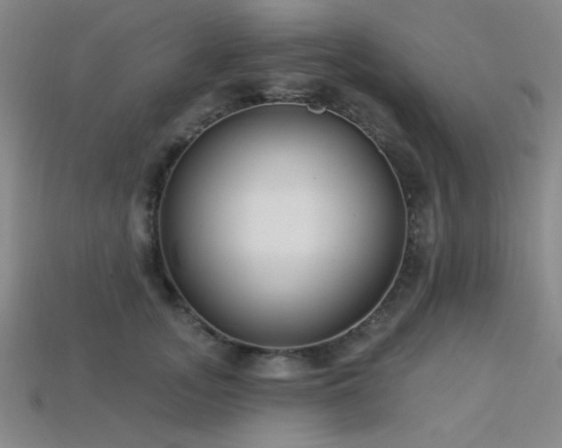 X0000113320755200909141355