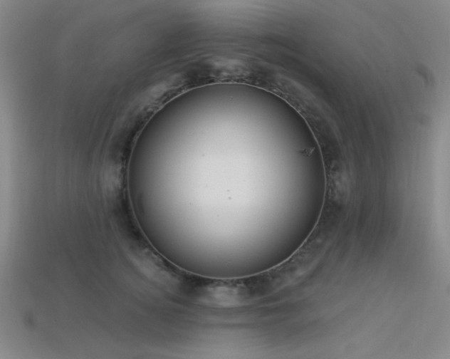 X0000113320756200909141355