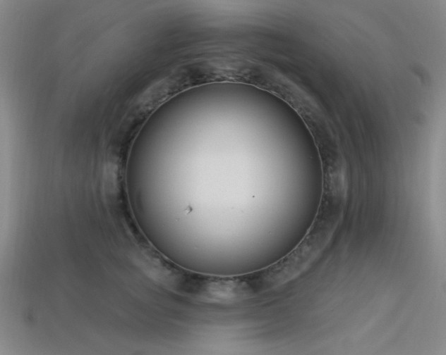 X0000113320757200909141355