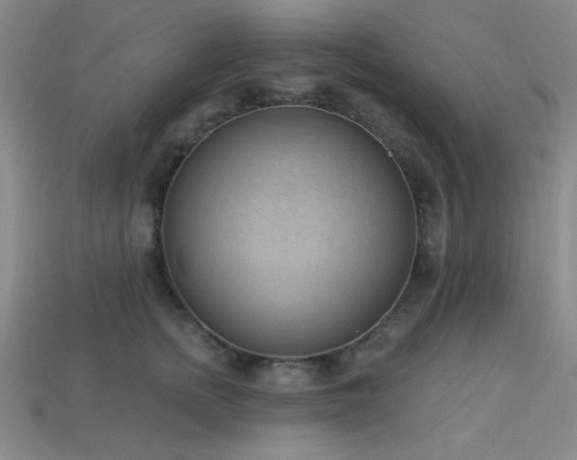 X0000113320758200909141355