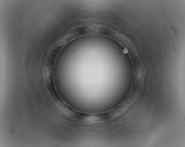 X0000113320759200909141355