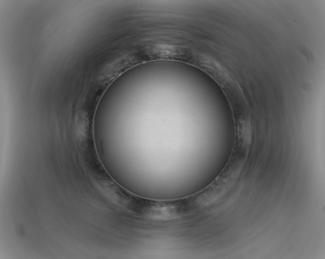 X0000113320760200909141355