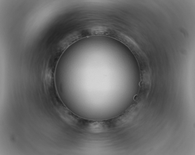 X0000113320761200909141355