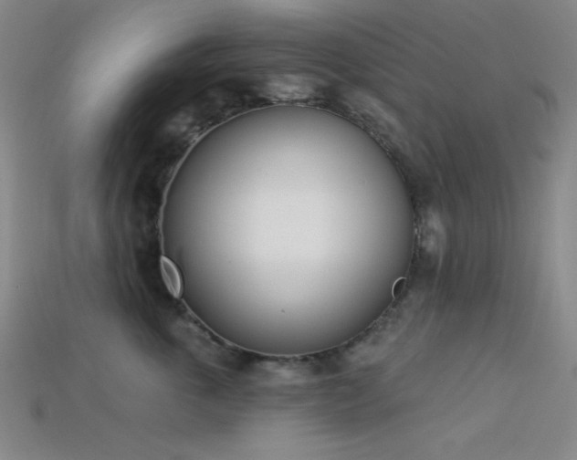 X0000113320763200909141355