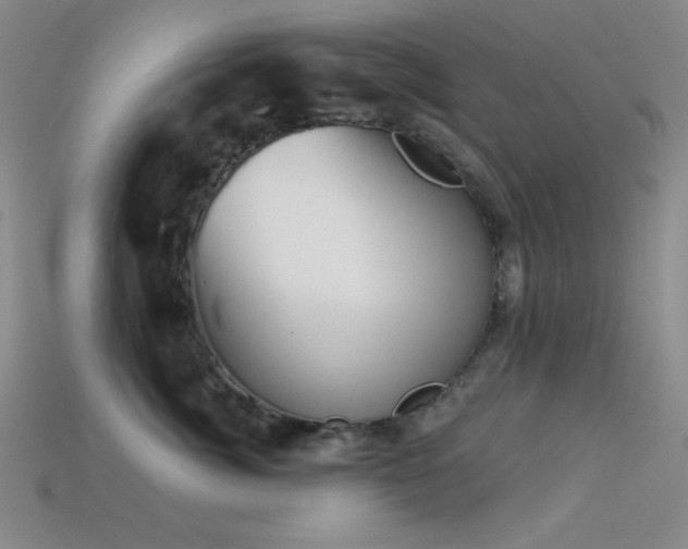 X0000113320764200909141355