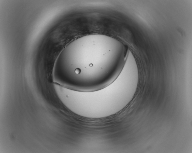 X0000113320766200909141355