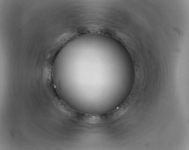 X0000113320768200909141355