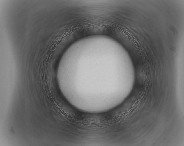 X0000113320769200909141354