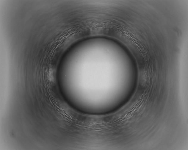 X0000113320770200909141354