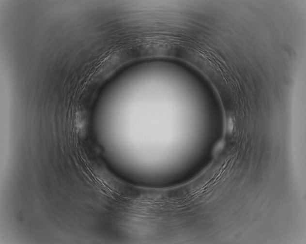 X0000113320771200909141354