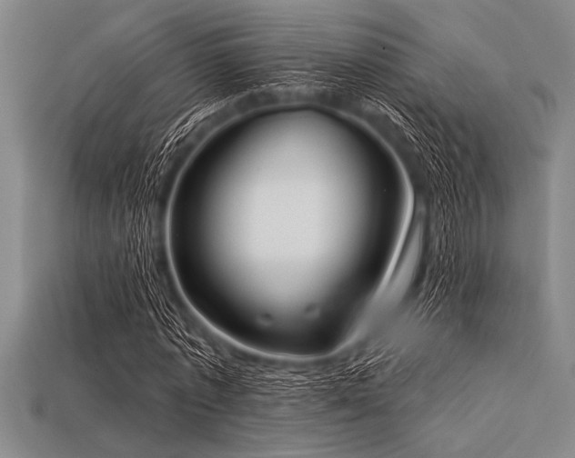 X0000113320773200909141354