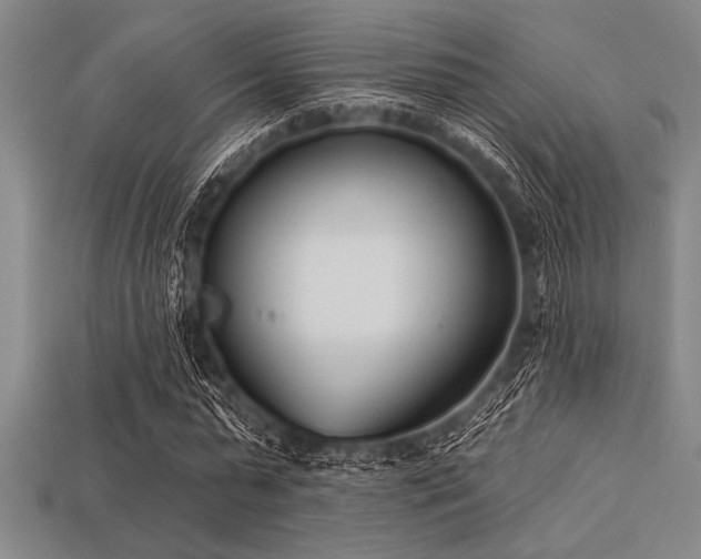 X0000113320775200909141354