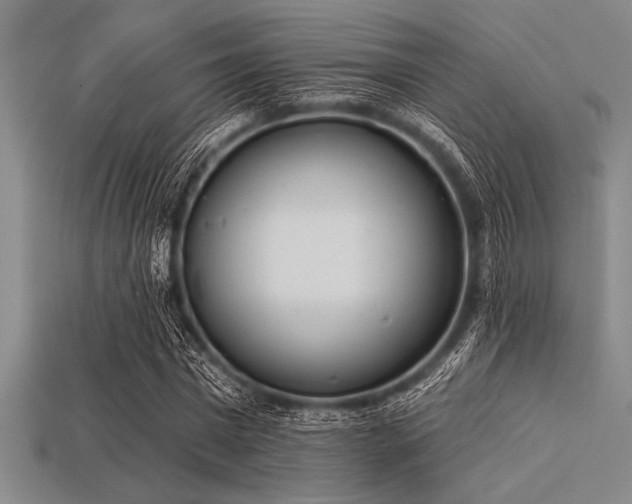 X0000113320777200909141354