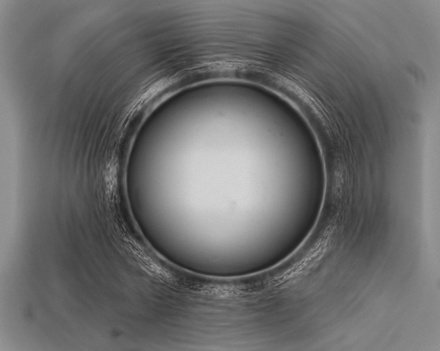 X0000113320778200909141354