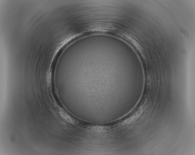 X0000113320779200909141354