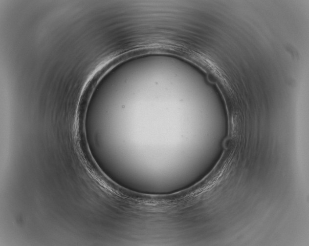 X0000113320780200909141354