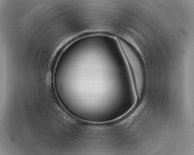 X0000113320781200909141354