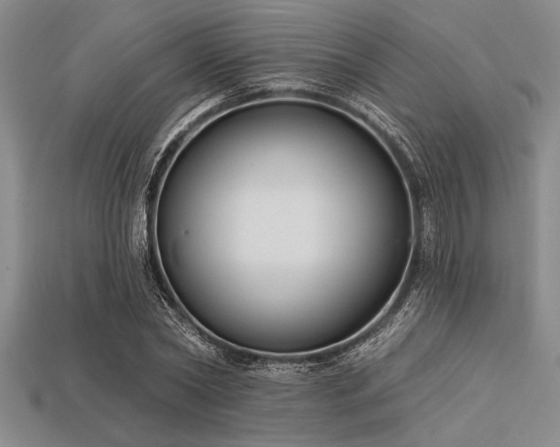 X0000113320782200909141354