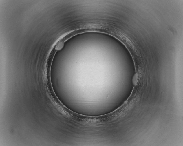 X0000113320784200909141354