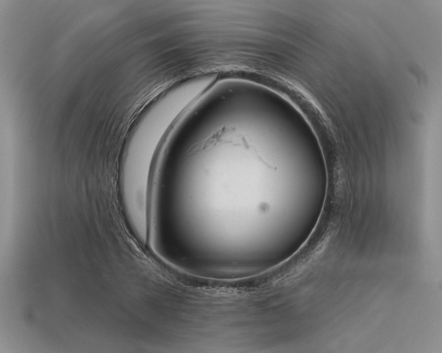 X0000113320785200909141354