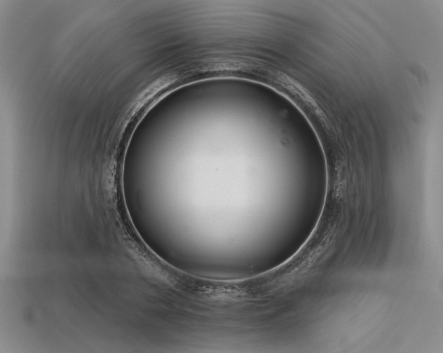 X0000113320786200909141354