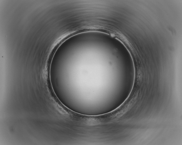 X0000113320787200909141354