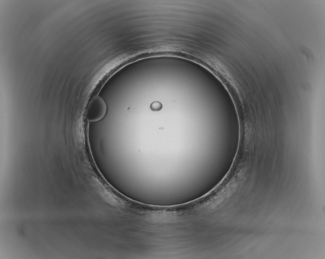 X0000113320789200909141354