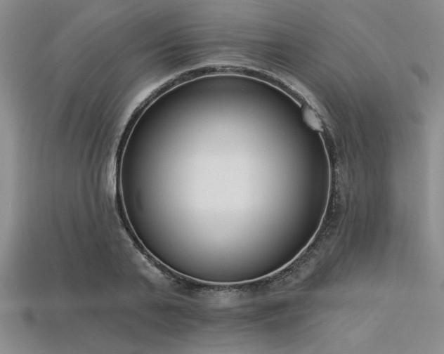 X0000113320791200909141354