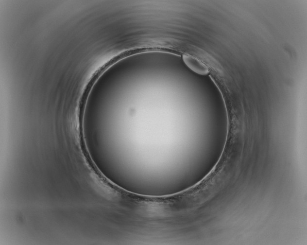 X0000113320792200909141354